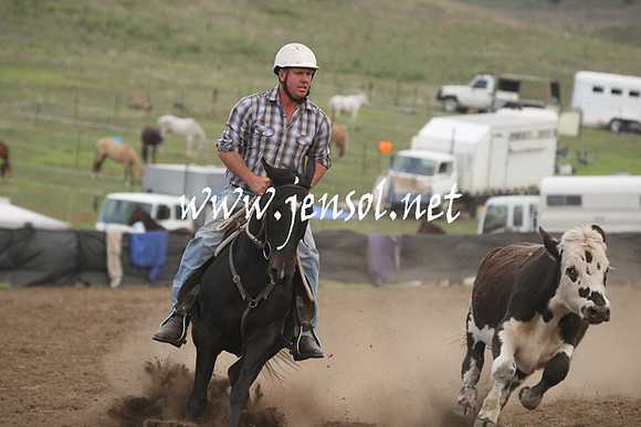 CabanandraCampdraft2013_1D_1516