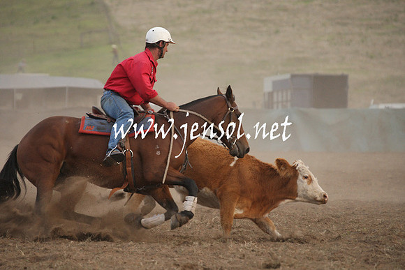 CabanandraCampdraft2013_1D_1543