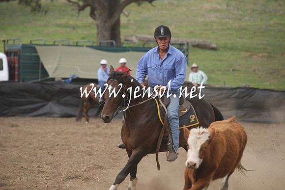 CabanandraCampdraft2013_1D_1207