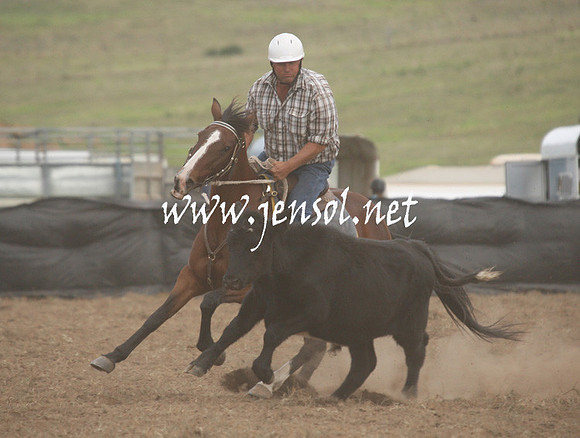 CabanandraCampdraft2013_1D_1455