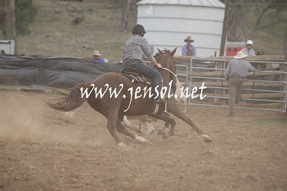 CabanandraCampdraft2013_1D_1361