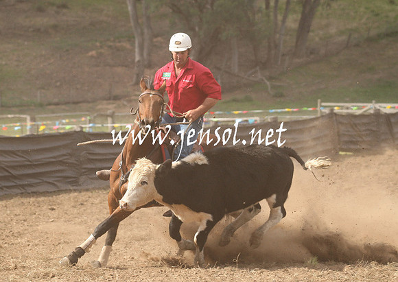 CabanandraCampdraft2013_1D_1186