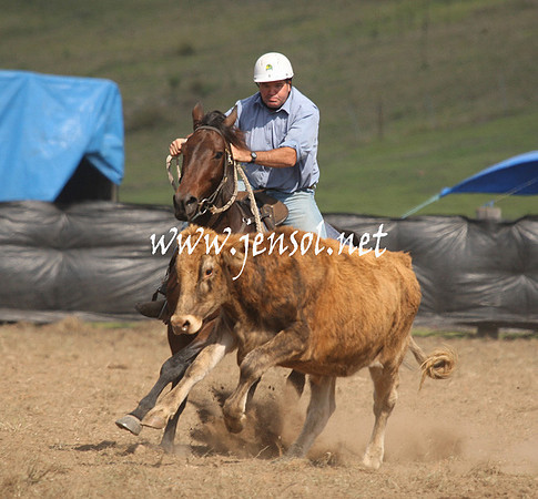CabanandraCampdraft2013_1D_1145