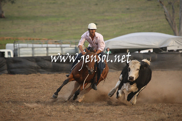 CabanandraCampdraft2013_1D_1582