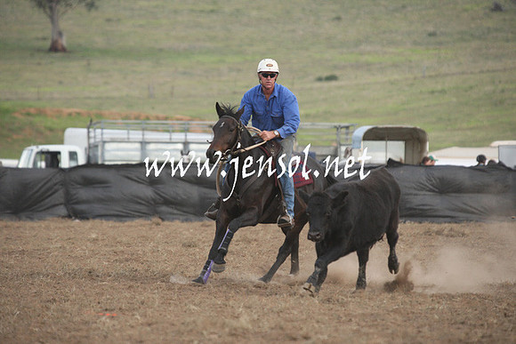 CabanandraCampdraft2013_1D_1404