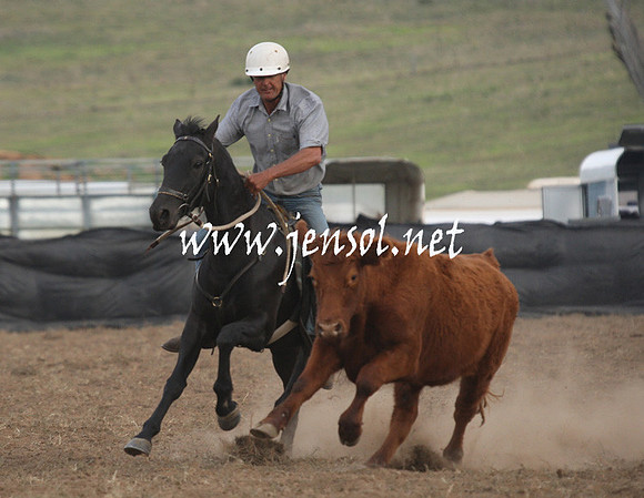 CabanandraCampdraft2013_1D_1435