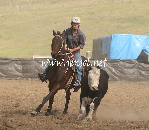 CabanandraCampdraft2013_1D_1301