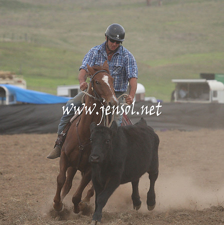 CabanandraCampdraft2013_1D_1477
