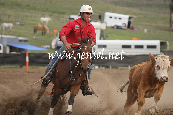 CabanandraCampdraft2013_1D_1552