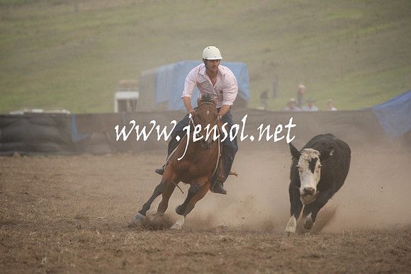 CabanandraCampdraft2013_1D_1530