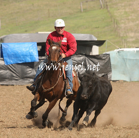 CabanandraCampdraft2013_1D_1224