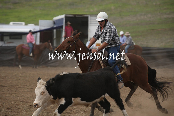 CabanandraCampdraft2013_1D_1206