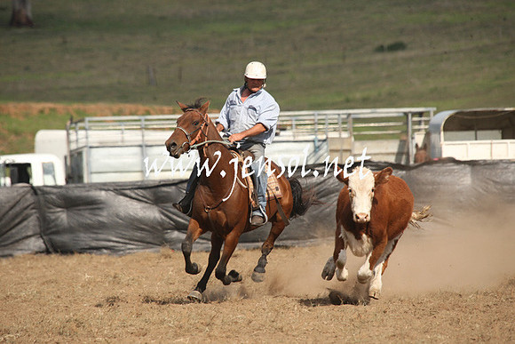 CabanandraCampdraft2013_1D_1222
