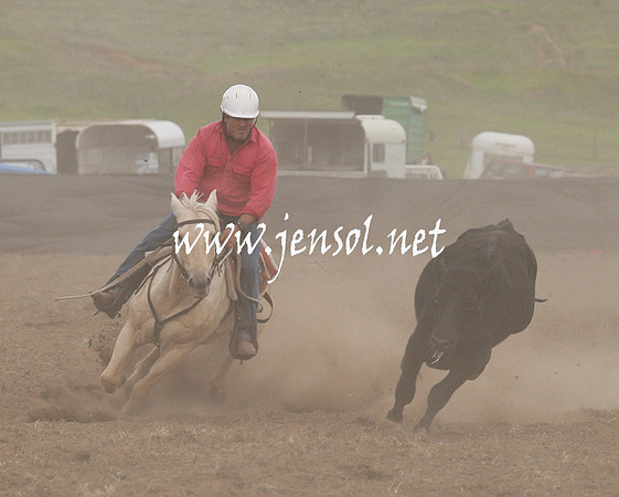 CabanandraCampdraft2013_1D_1468