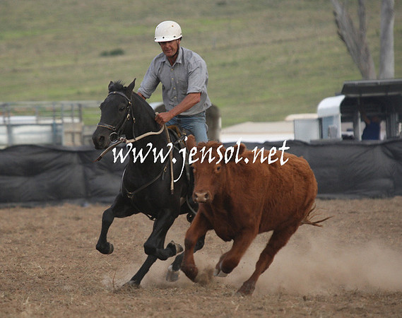 CabanandraCampdraft2013_1D_1431