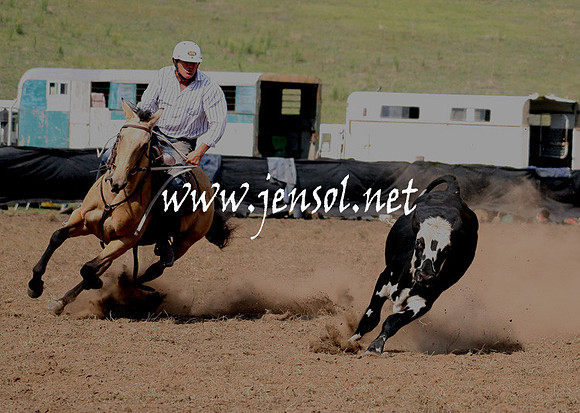 CabanandraCampdraft2013_1D_1103