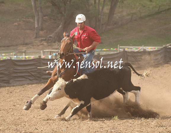 CabanandraCampdraft2013_1D_1187