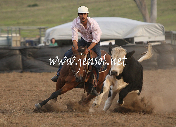 CabanandraCampdraft2013_1D_1579