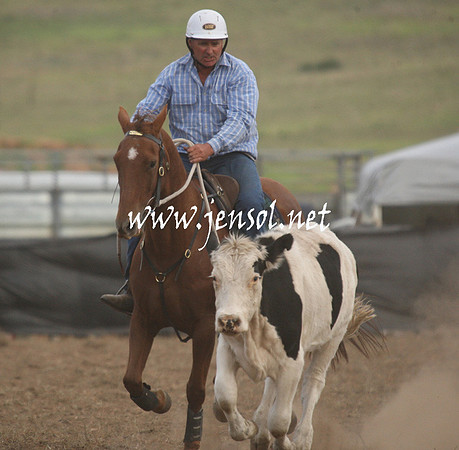 CabanandraCampdraft2013_1D_1491