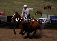 CabanandraCampdraft2013_1D_1081