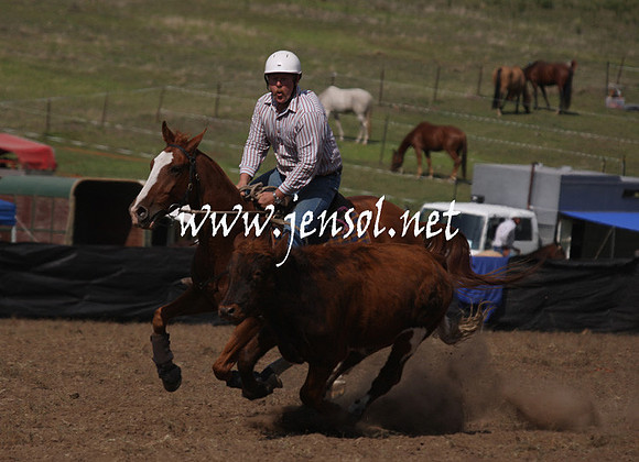CabanandraCampdraft2013_1D_1081