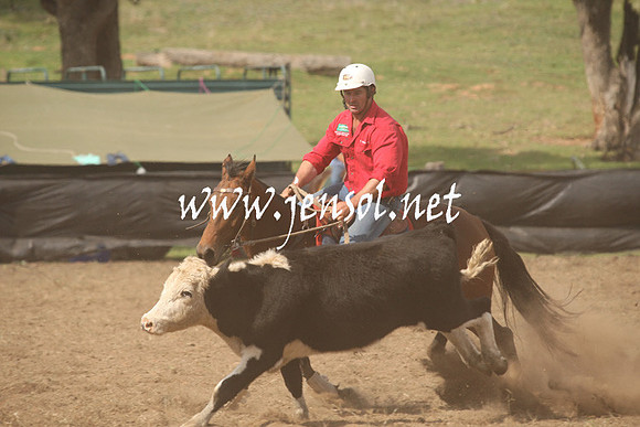 CabanandraCampdraft2013_1D_1182