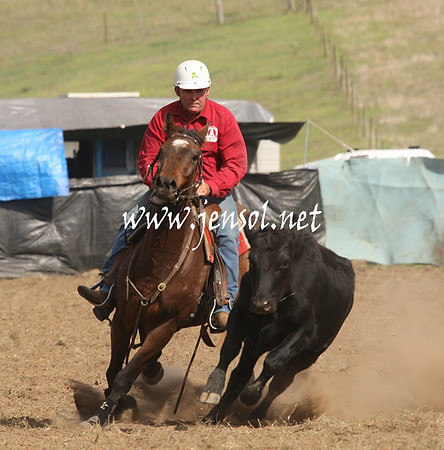 CabanandraCampdraft2013_1D_1225