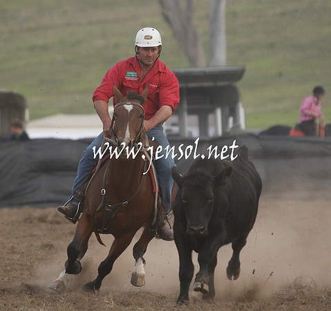 CabanandraCampdraft2013_1D_1396