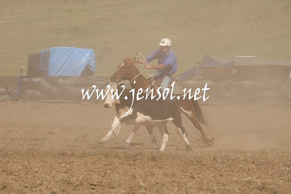 CabanandraCampdraft2013_1D_1123