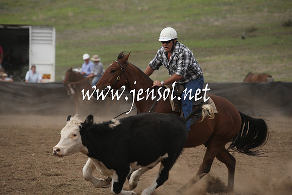 CabanandraCampdraft2013_1D_1203