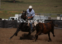 CabanandraCampdraft2013_1D_1074