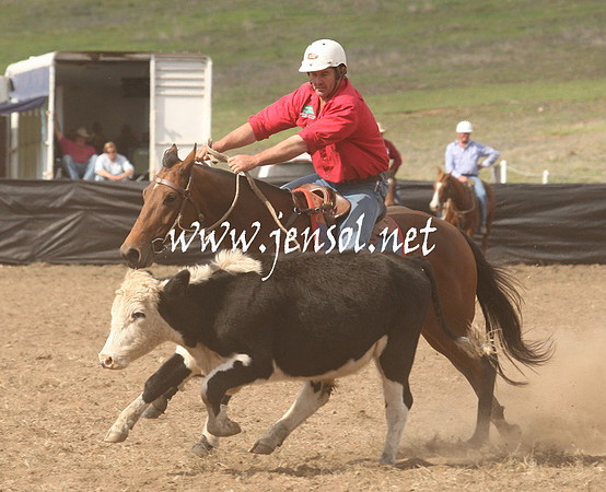 CabanandraCampdraft2013_1D_1183
