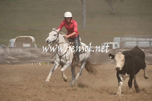 CabanandraCampdraft2013_1D_1139