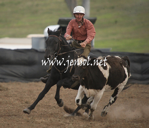 CabanandraCampdraft2013_1D_1439