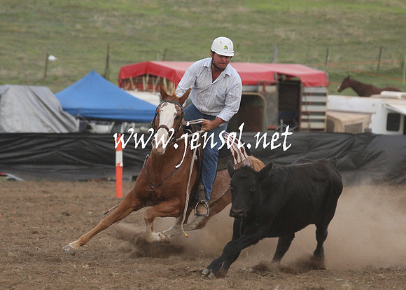 CabanandraCampdraft2013_1D_1489
