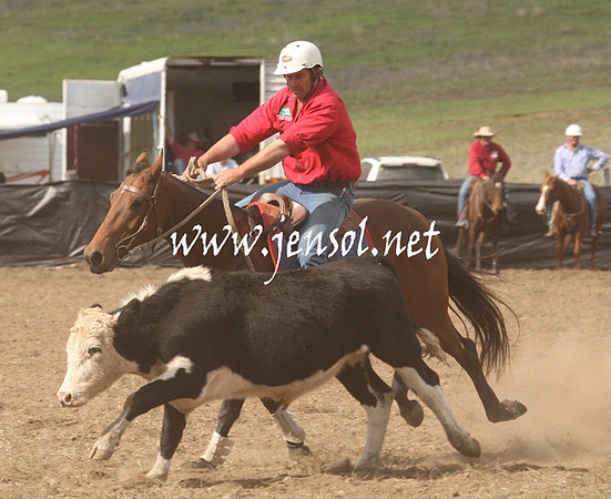 CabanandraCampdraft2013_1D_1184