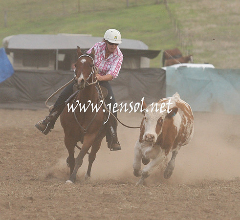 CabanandraCampdraft2013_1D_1501