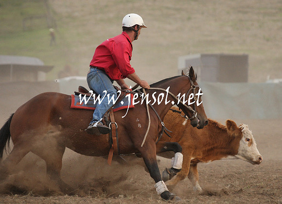 CabanandraCampdraft2013_1D_1544