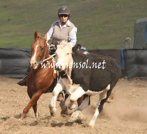 CabanandraCampdraft2013_1D_1249