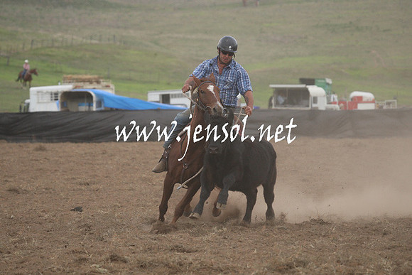 CabanandraCampdraft2013_1D_1475