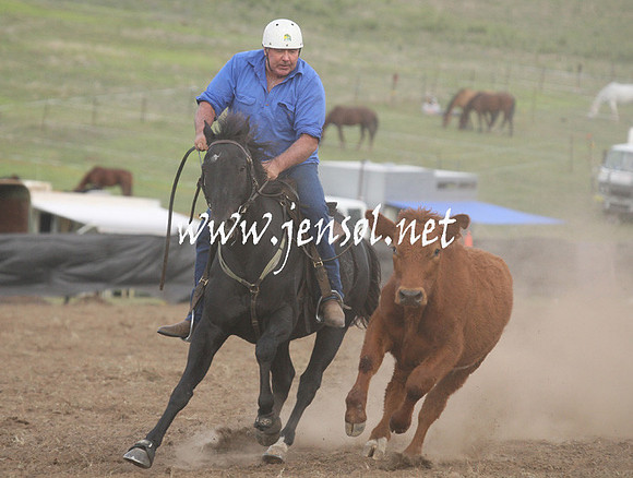 CabanandraCampdraft2013_1D_1412