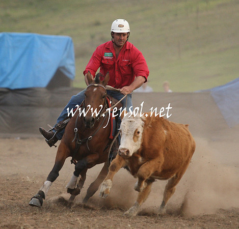 CabanandraCampdraft2013_1D_1539