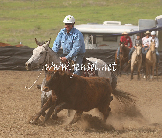 CabanandraCampdraft2013_1D_1174