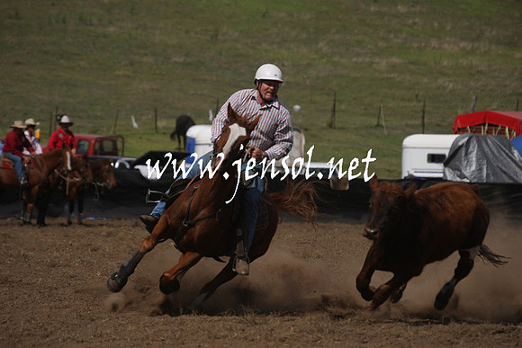 CabanandraCampdraft2013_1D_1079