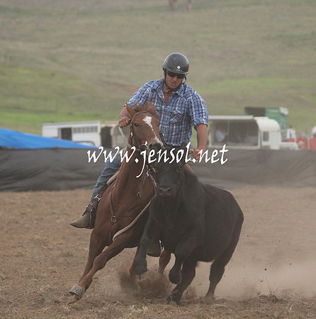 CabanandraCampdraft2013_1D_1474