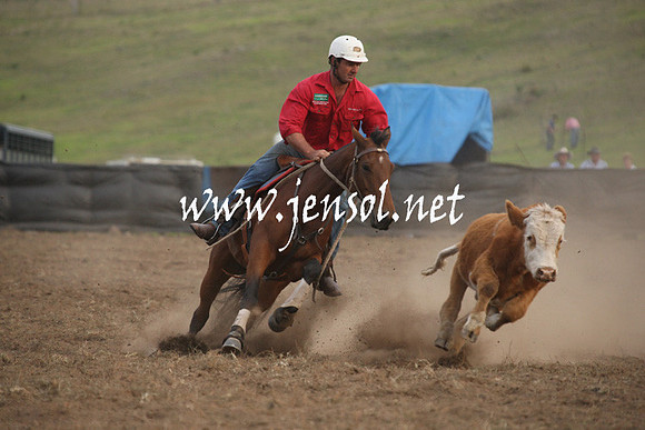 CabanandraCampdraft2013_1D_1540