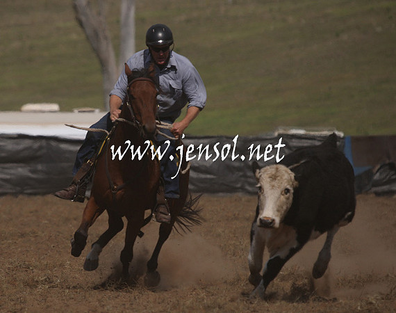 CabanandraCampdraft2013_1D_1087