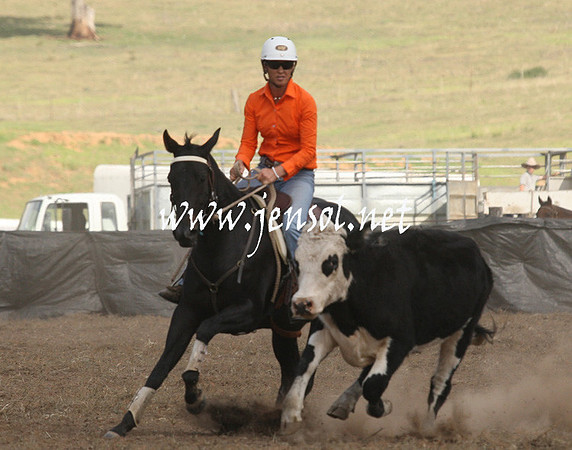 CabanandraCampdraft2013_1D_1307