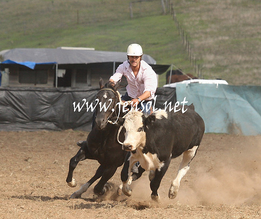 CabanandraCampdraft2013_1D_1259