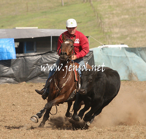 CabanandraCampdraft2013_1D_1223